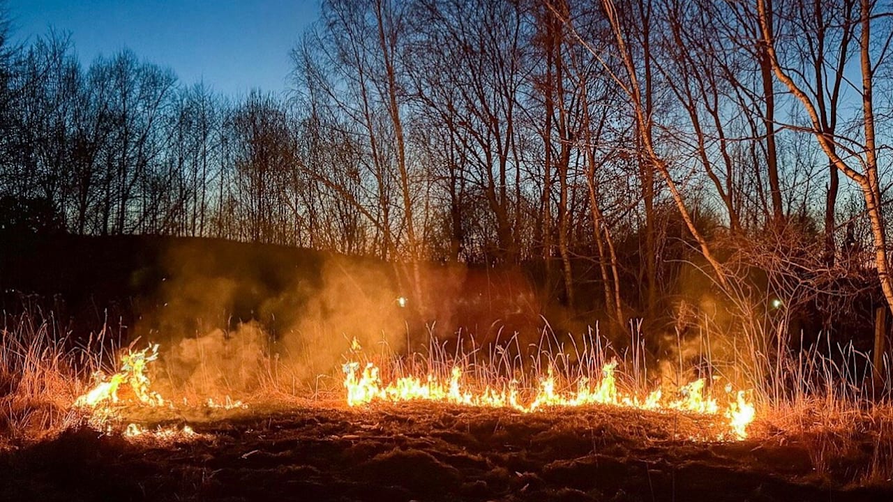 Hohe Waldbrandgefahr: Deutschland braucht dringend Regen | Leben & Wissen