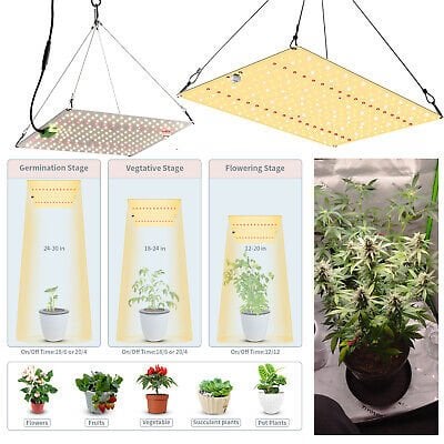 Pflanzlampen