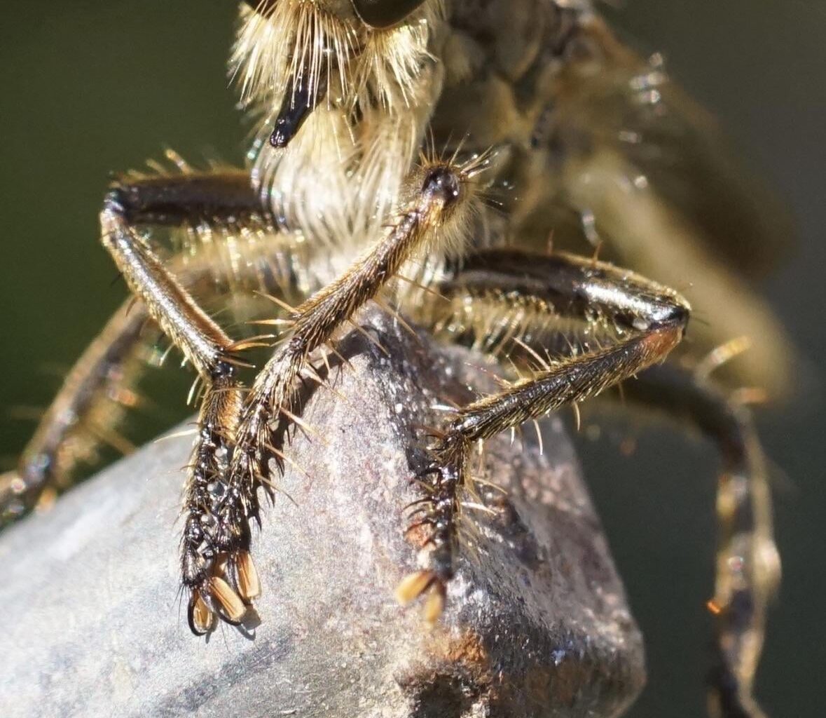 Kann mir jemand sagen um was es sich hier handelt!“?