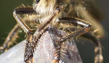 Kann mir jemand sagen um was es sich hier handelt!“?