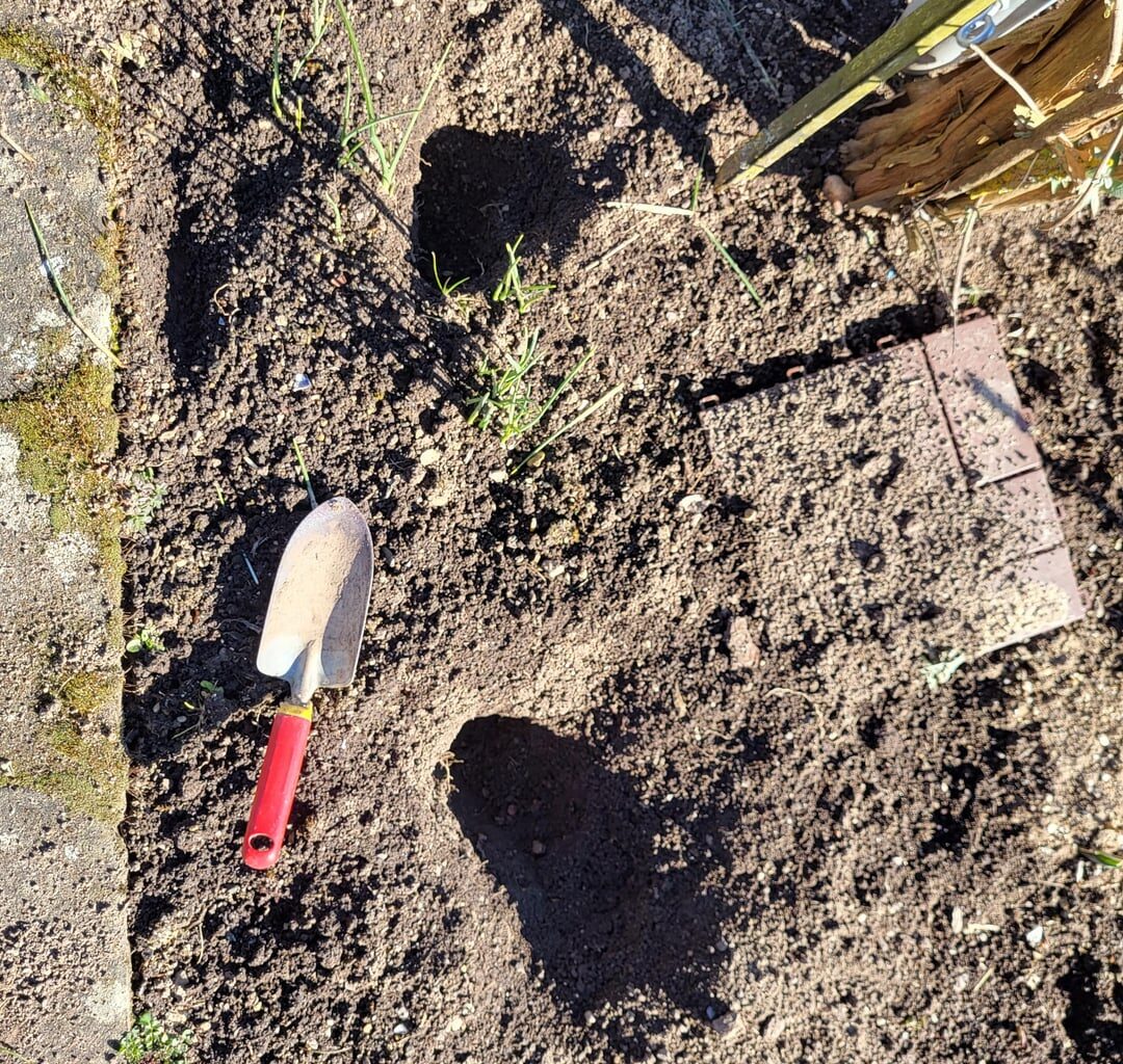 Was ruiniert meinen Garten?
