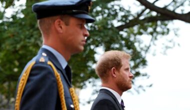 Ex-aide to Princes Harry and William opens up on the brothers’ bad blood