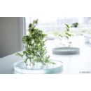 Mitsui Chemicals Groups MOLp Group-Wide Open Laboratory Activities to Make First Appearance at MILAN DESIGN WEEK 2025 (Brera Design District)