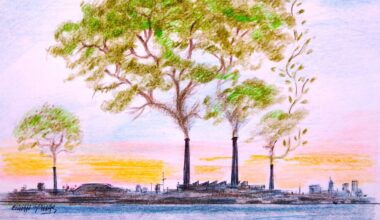 Türkiye’s bold climate strategy: A model for global sustainability