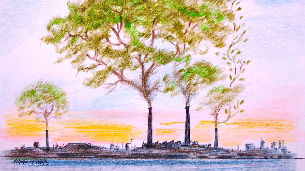 Türkiye’s bold climate strategy: A model for global sustainability