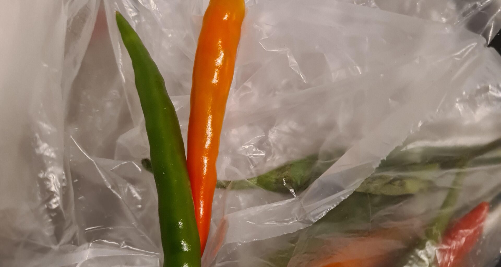 Welche Sorte könnte das sein?