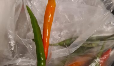 Welche Sorte könnte das sein?