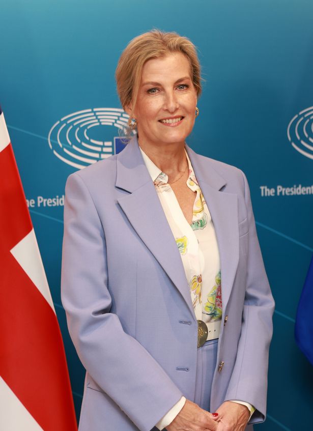 Sophie,  Duchess of Edinburgh attends a UK government and European Parliament Intergroup on Children's Rights