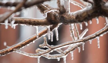 'Several hours' of freezing rain to hit southern Quebec, says Environment Canada