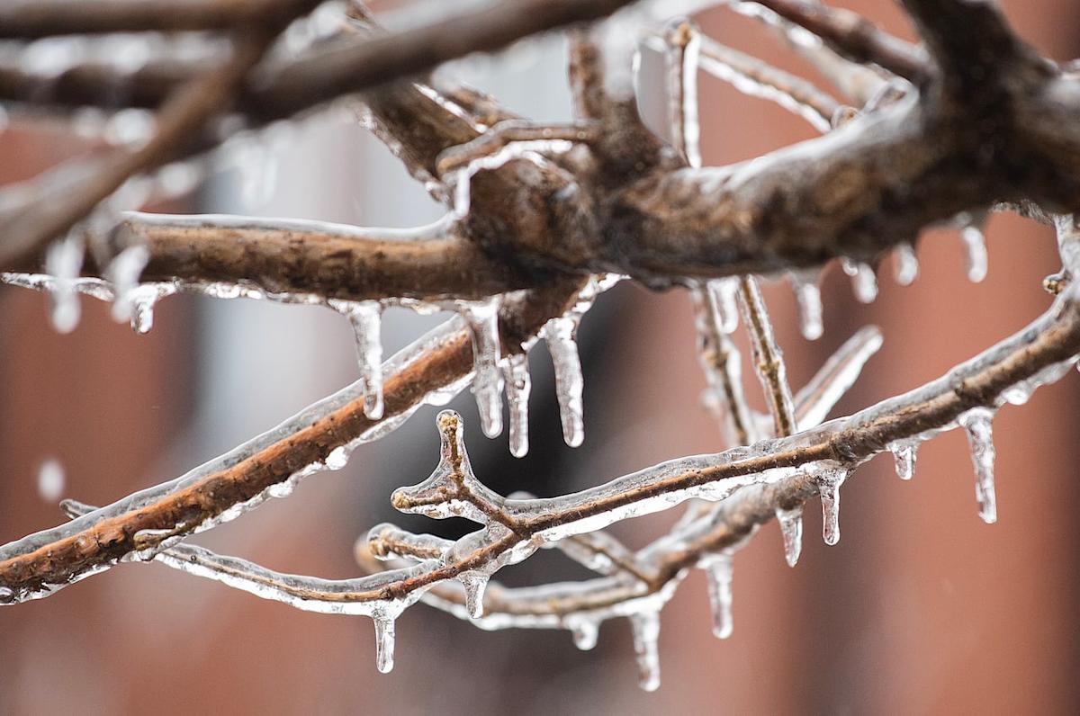 'Several hours' of freezing rain to hit southern Quebec, says Environment Canada