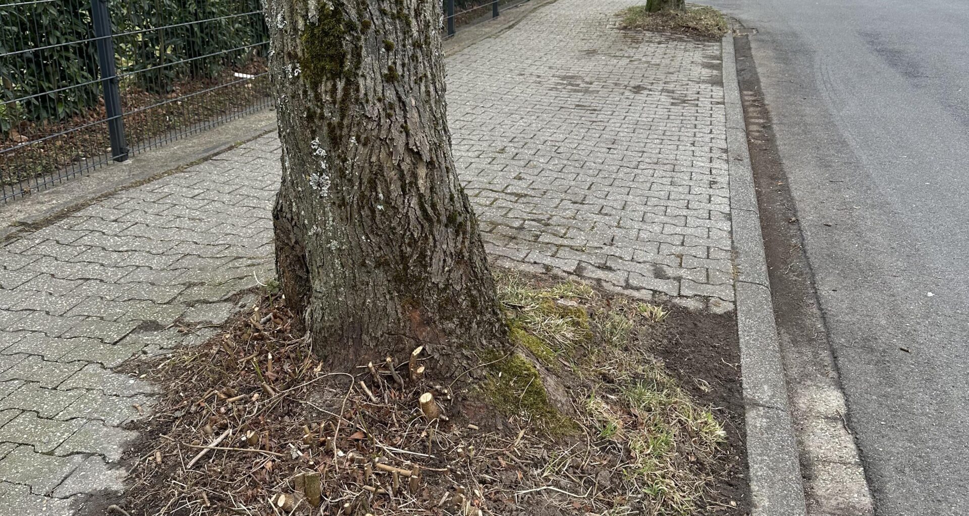 Ideen was man hier pflanzen könnte