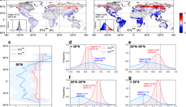 Observed different impacts of potential tree restoration on local surface and air temperature