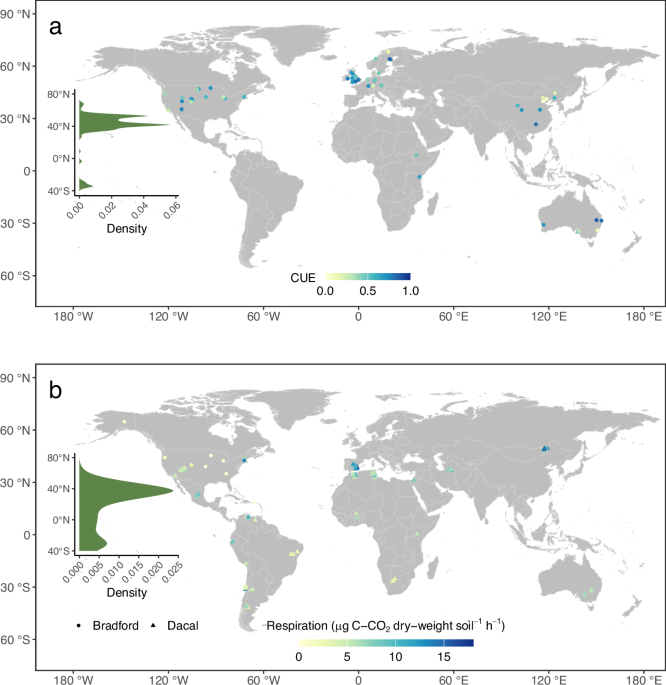 Nonlinear microbial thermal response and its implications for abrupt soil organic carbon responses to warming