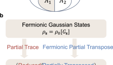 Entanglement Rényi negativity of interacting fermions from quantum Monte Carlo simulations