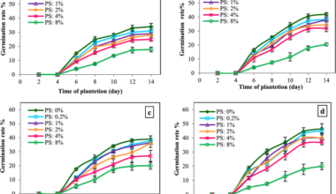 Phytotoxic effects of petroleum hydrocarbons on germination and growth of the native halophyte Salicornia sinus persica in oil contaminated soil