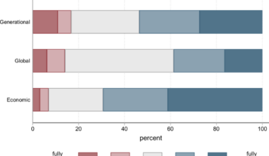 Increasing individual-level climate mitigation action: the role of behavioral dimensions and inequality perceptions