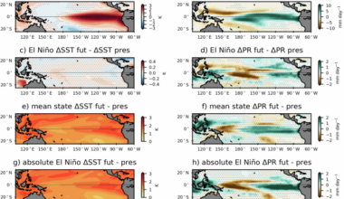 Future climate response to observed strong El Niño analogues