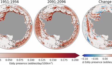 High-latitude Southern Ocean eddy activity projected to evolve with anthropogenic climate change