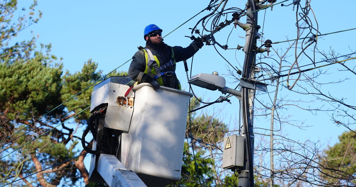 Storm Éowyn exposed Ireland’s infrastructure weaknesses – experts warn Government ‘must act now’