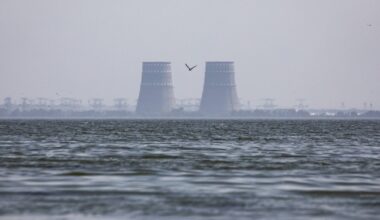 Financial folly or pressure tactic? Trump eyes Ukraine's occupied nuclear plant