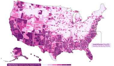 The most and least diverse counties in the US [OC]