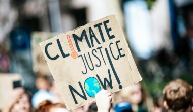 Sowing doubts on climate change, sceptics ride on hoax claims