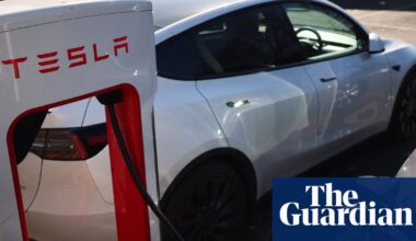 Tesla’s UK sales rise despite threat of backlash over Musk’s political role | Tesla