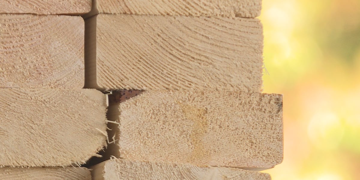 European Union retaliatory tariffs could impact Alabama’s wood industry