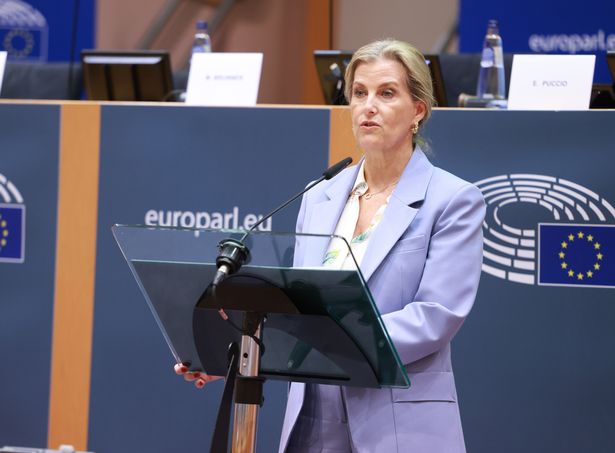 Sophie, Duchess of Edinburgh attends a UK government and European Parliament Intergroup on Children's Rights