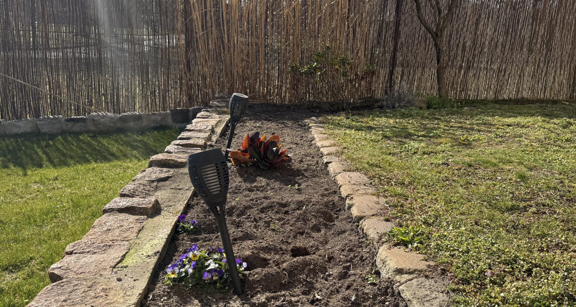 Tipps zur Bepflanzung