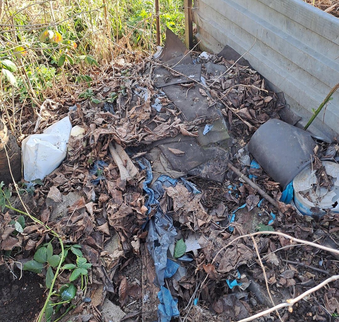 Würdet ihr den Garten nehmen?