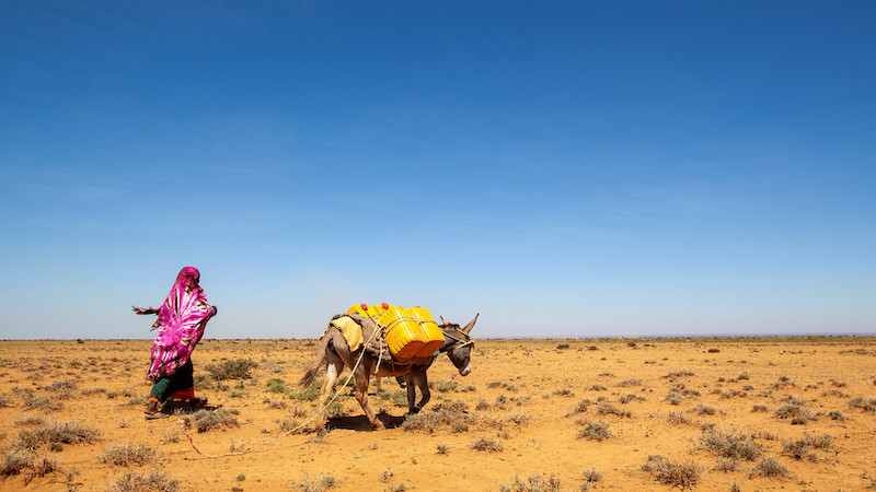 "Forgotten" fragile states unite to end climate-finance blind spot