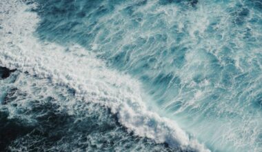 Extreme ocean heat does not mean climate change is accelerating—study