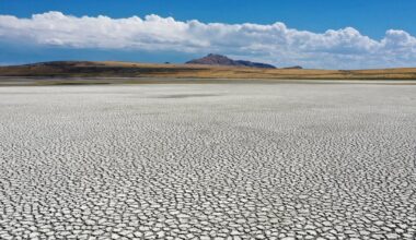 Young Utahns demand a better climate future
