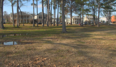 Lost Rabbit Community green space safe from development after committee vote