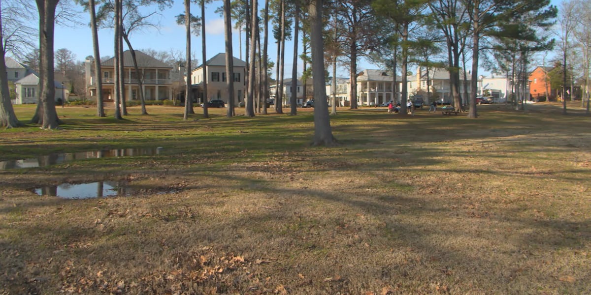 Lost Rabbit Community green space safe from development after committee vote