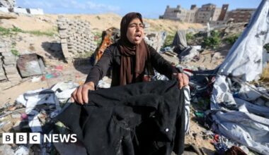 Ceasefire plan back on table