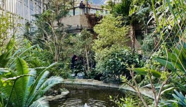 Barbican Conservatory First Time