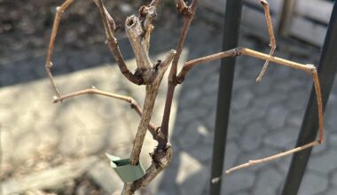 Hat mein Wein den Winter nicht überlebt?