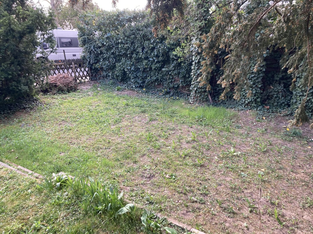 Kann ich statt dem Efeu Himbeeren und Brombeeren und auf dem Boden Beete erstellen? Was gilt es zu beachten?