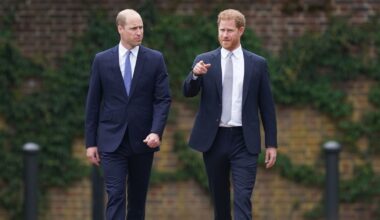 William and Harry’s cousin who will inherit Diana’s childhood home | Royal | News