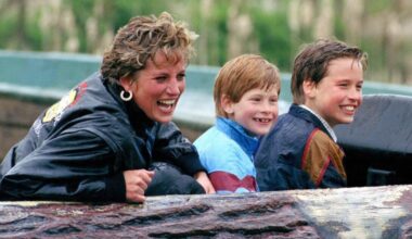 Prince Harry 'offered new Netflix series' on Princess Diana 30 years after death | Royal | News