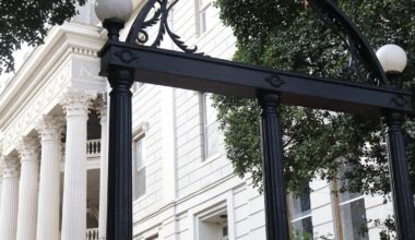 New UGA College of Public Health study sees links between the environment and dementia | Campus News