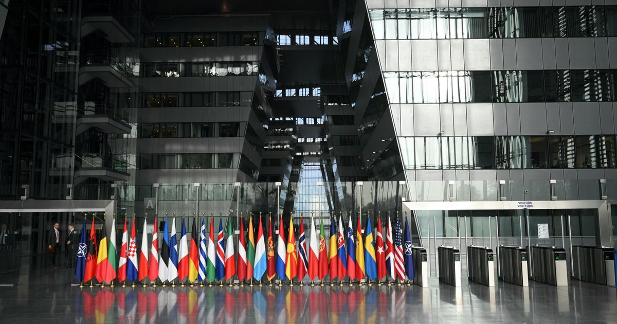 tout comprendre à l’article 5 de l’Otan, que Trump affirme soutenir