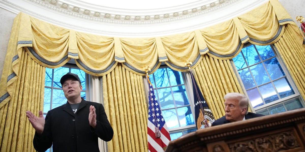 DOGE: What to Know About Musk's Department of Government Efficiency