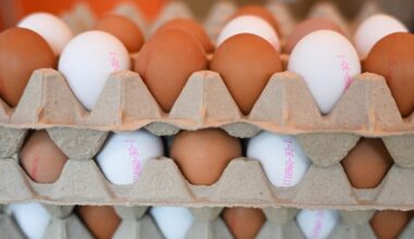 US Asks Denmark: Can You Spare Some Eggs?