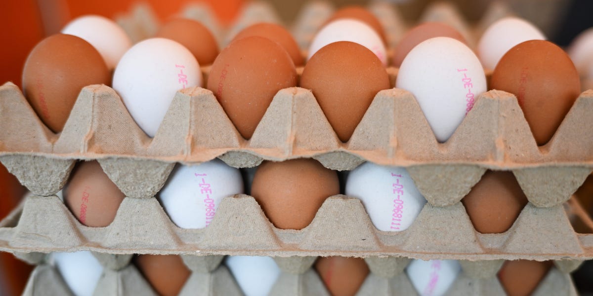 US Asks Denmark: Can You Spare Some Eggs?