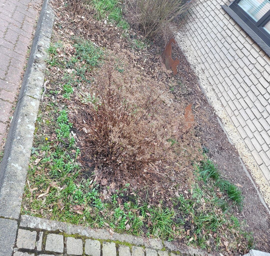 Kleiner Platz vorm Haus, was machen?