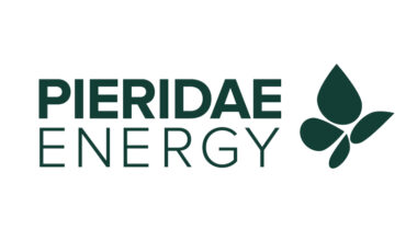 Pieridae Releases Q4 and Full Year 2024 Financial &