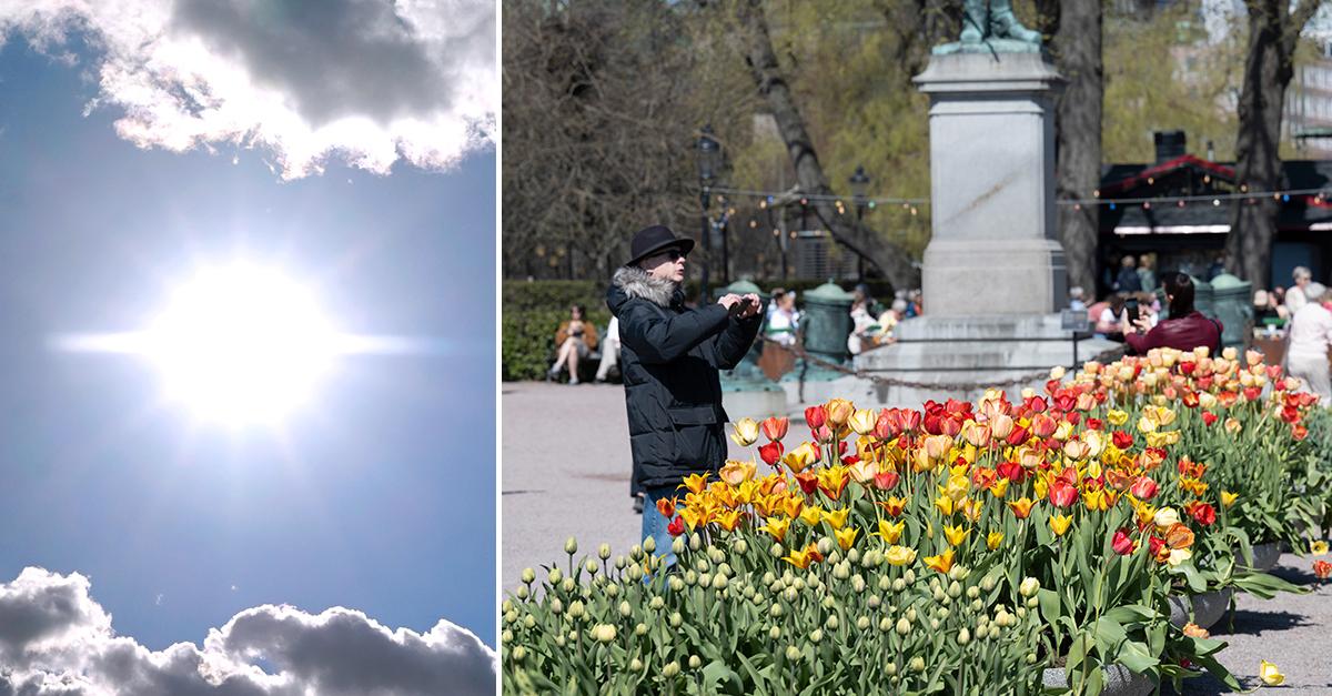 Plusgrader i södra Sverige – sen vänder det